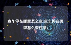查车停在哪里怎么查(查车停在哪里怎么查违章)