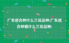 广东适合种什么兰花品种(广东适合种植什么兰花品种)