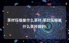 茶叶压缩是什么茶叶(茶叶压缩是什么茶叶做的)
