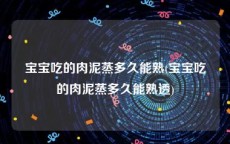 宝宝吃的肉泥蒸多久能熟(宝宝吃的肉泥蒸多久能熟透)