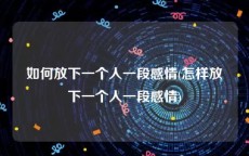 如何放下一个人一段感情(怎样放下一个人一段感情)