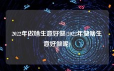 2022年做啥生意好做(2022年做啥生意好做呢)