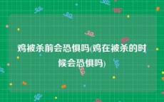 鸡被杀前会恐惧吗(鸡在被杀的时候会恐惧吗)