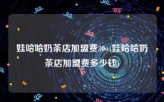 娃哈哈奶茶店加盟费30w(娃哈哈奶茶店加盟费多少钱)