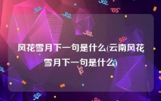 风花雪月下一句是什么(云南风花雪月下一句是什么)