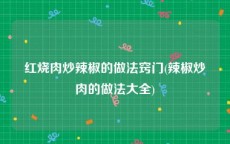 红烧肉炒辣椒的做法窍门(辣椒炒肉的做法大全)