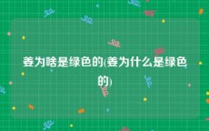 姜为啥是绿色的(姜为什么是绿色的)