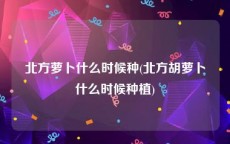 北方萝卜什么时候种(北方胡萝卜什么时候种植)