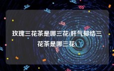 玫瑰三花茶是哪三花(肝气郁结三花茶是哪三花)