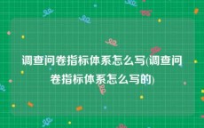 调查问卷指标体系怎么写(调查问卷指标体系怎么写的)
