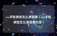 vivo手机微信怎么录音频〈vivo手机微信怎么录音频文件〉