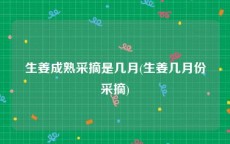 生姜成熟采摘是几月(生姜几月份采摘)