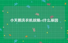 小天鹅洗衣机故障e4什么原因