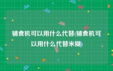 辅食机可以用什么代替(辅食机可以用什么代替米糊)