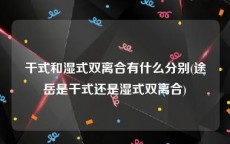 干式和湿式双离合有什么分别(途岳是干式还是湿式双离合)