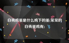白壳鸡蛋是什么鸡下的蛋(常见的白壳蛋鸡有)
