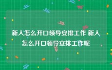 新人怎么开口领导安排工作 新人怎么开口领导安排工作呢