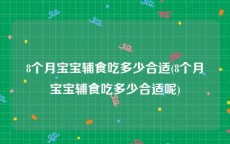 8个月宝宝辅食吃多少合适(8个月宝宝辅食吃多少合适呢)