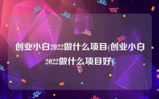 创业小白2022做什么项目(创业小白2022做什么项目好)
