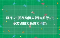 风行t5三菱发动机太耗油(风行t5三菱发动机太耗油太平洋)