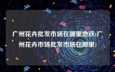 广州花卉批发市场在哪里地铁(广州花卉市场批发市场在哪里)