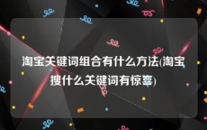 淘宝关键词组合有什么方法(淘宝搜什么关键词有惊喜)