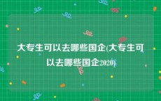 大专生可以去哪些国企(大专生可以去哪些国企2020)