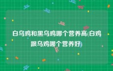 白乌鸡和黑乌鸡哪个营养高(白鸡跟乌鸡哪个营养好)