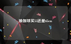 瑜伽球买55还是65cm