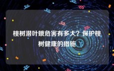 桃树潜叶蛾危害有多大？保护桃树健康的措施