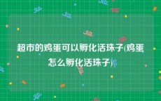 超市的鸡蛋可以孵化活珠子(鸡蛋怎么孵化活珠子)