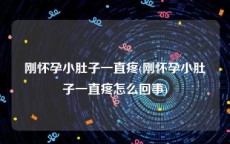 刚怀孕小肚子一直疼(刚怀孕小肚子一直疼怎么回事)