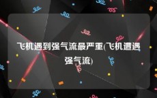 飞机遇到强气流最严重(飞机遭遇强气流)
