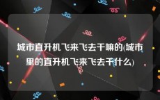 城市直升机飞来飞去干嘛的(城市里的直升机飞来飞去干什么)