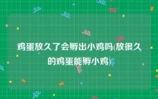 鸡蛋放久了会孵出小鸡吗(放很久的鸡蛋能孵小鸡)