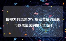樱桃为何结果少？解密背后的原因与效果显著的增产方法！
