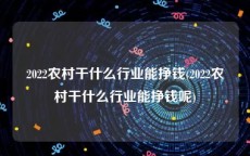 2022农村干什么行业能挣钱(2022农村干什么行业能挣钱呢)