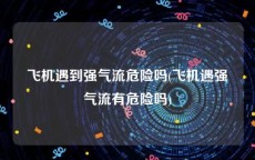 飞机遇到强气流危险吗(飞机遇强气流有危险吗)