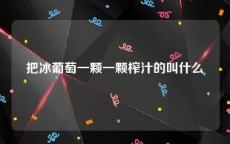 把冰葡萄一颗一颗榨汁的叫什么