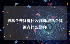 被私企开除有什么影响(被私企辞退有什么影响)