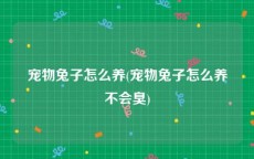 宠物兔子怎么养(宠物兔子怎么养不会臭)