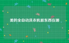 美的全自动洗衣机脏东西在哪