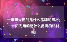一米阳光用的是什么品牌的铝材(一米阳光用的是什么品牌的铝材呢)