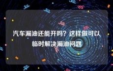 汽车漏油还能开吗？这样做可以临时解决漏油问题