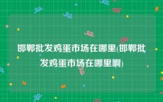 邯郸批发鸡蛋市场在哪里(邯郸批发鸡蛋市场在哪里啊)