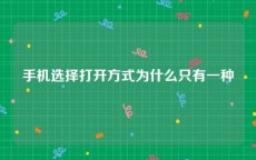 手机选择打开方式为什么只有一种