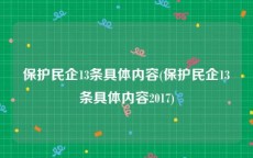 保护民企13条具体内容(保护民企13条具体内容2017)