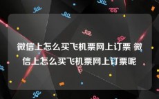 微信上怎么买飞机票网上订票 微信上怎么买飞机票网上订票呢