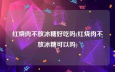 红烧肉不放冰糖好吃吗(红烧肉不放冰糖可以吗)