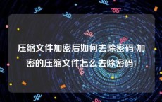 压缩文件加密后如何去除密码(加密的压缩文件怎么去除密码)